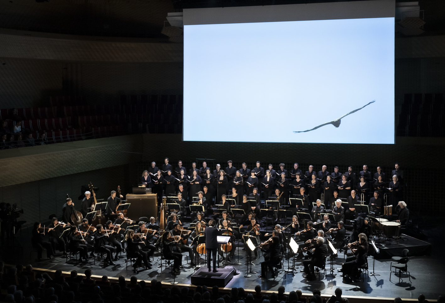 https://www.insulaorchestra.fr/wp-content/uploads/2023/05/DSC2663.jpg